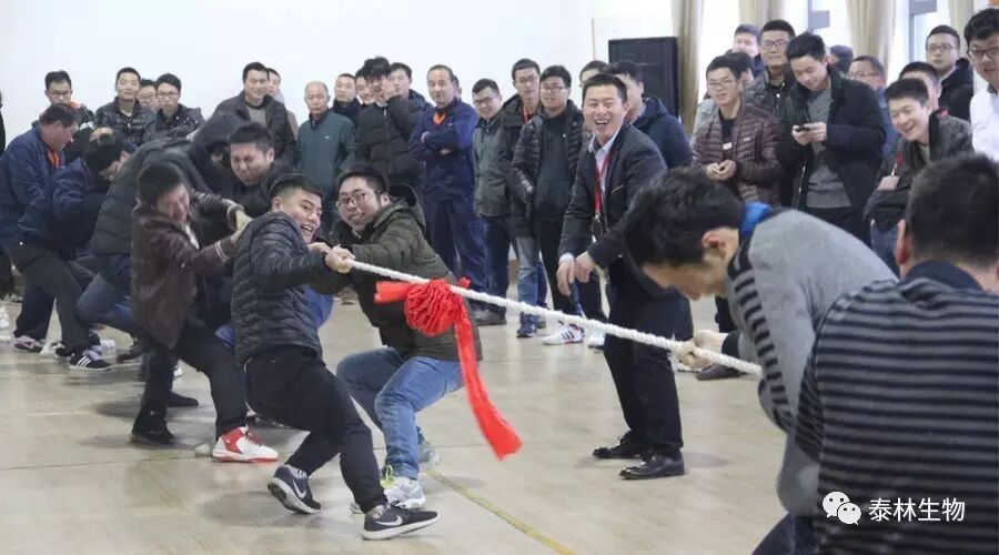 1768961564653636S5OD.jpg 4.jpg