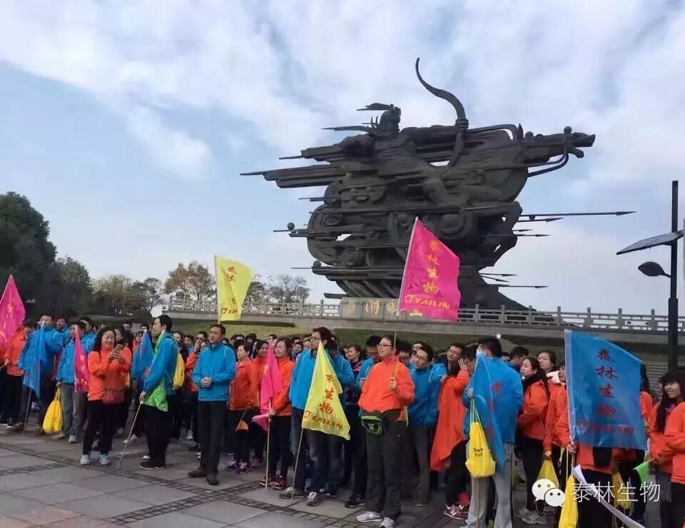 1768961724747553xERr.jpg 1.jpg