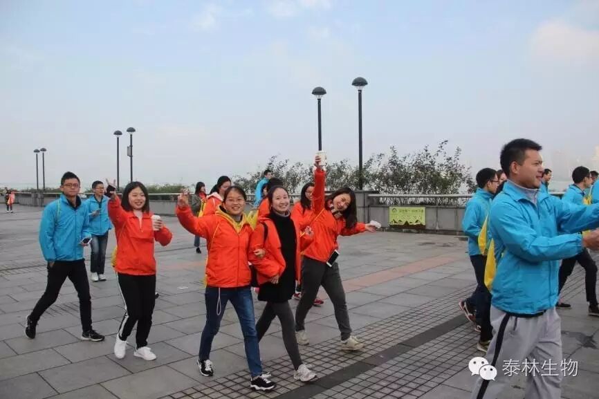 1768961746338310YMkd.jpg 4.jpg