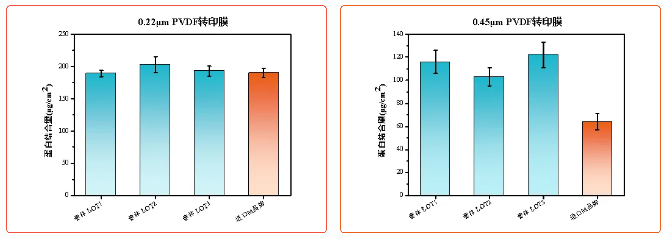 1772605260512716k80O.png 圖片5.png