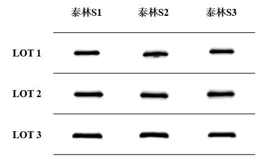 1772605300537349i9y8.png 圖片9.png